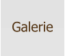 Galerie